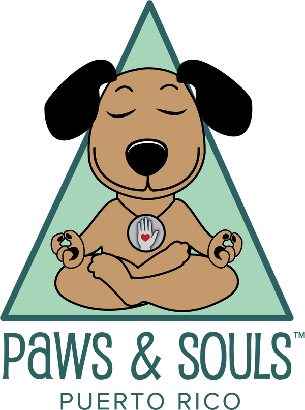 Paws & Souls 